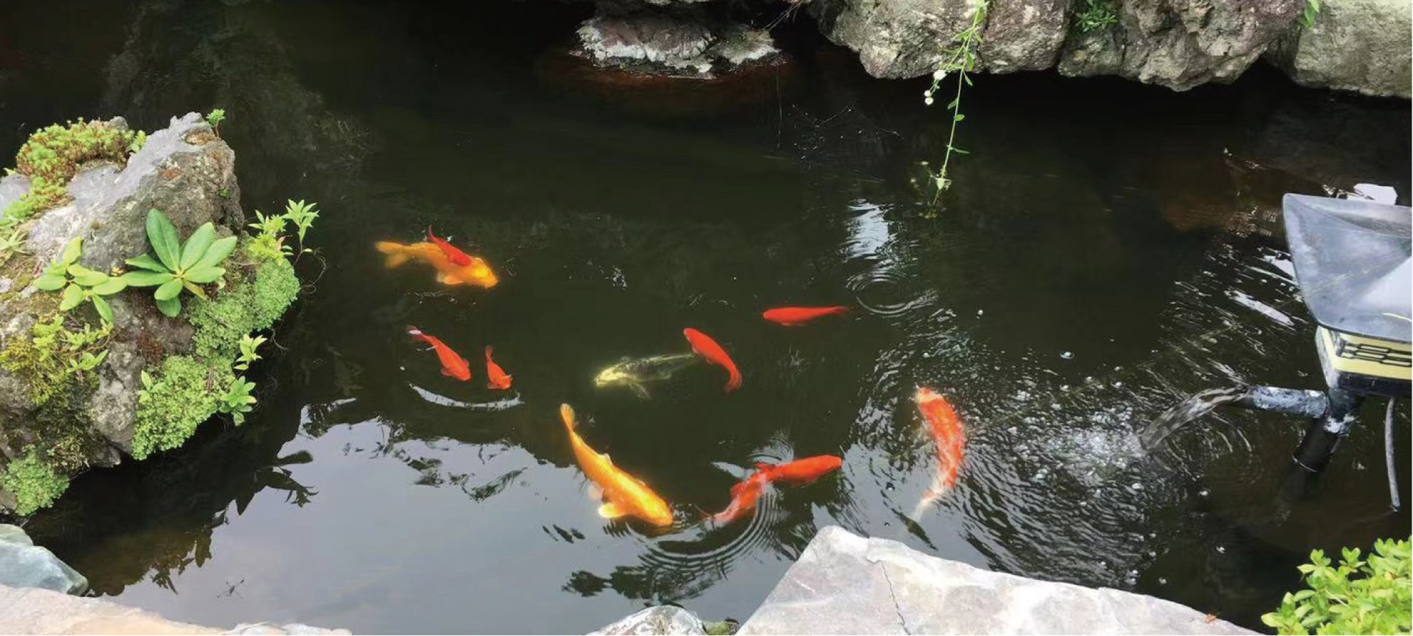 北海道 貸別荘 齊